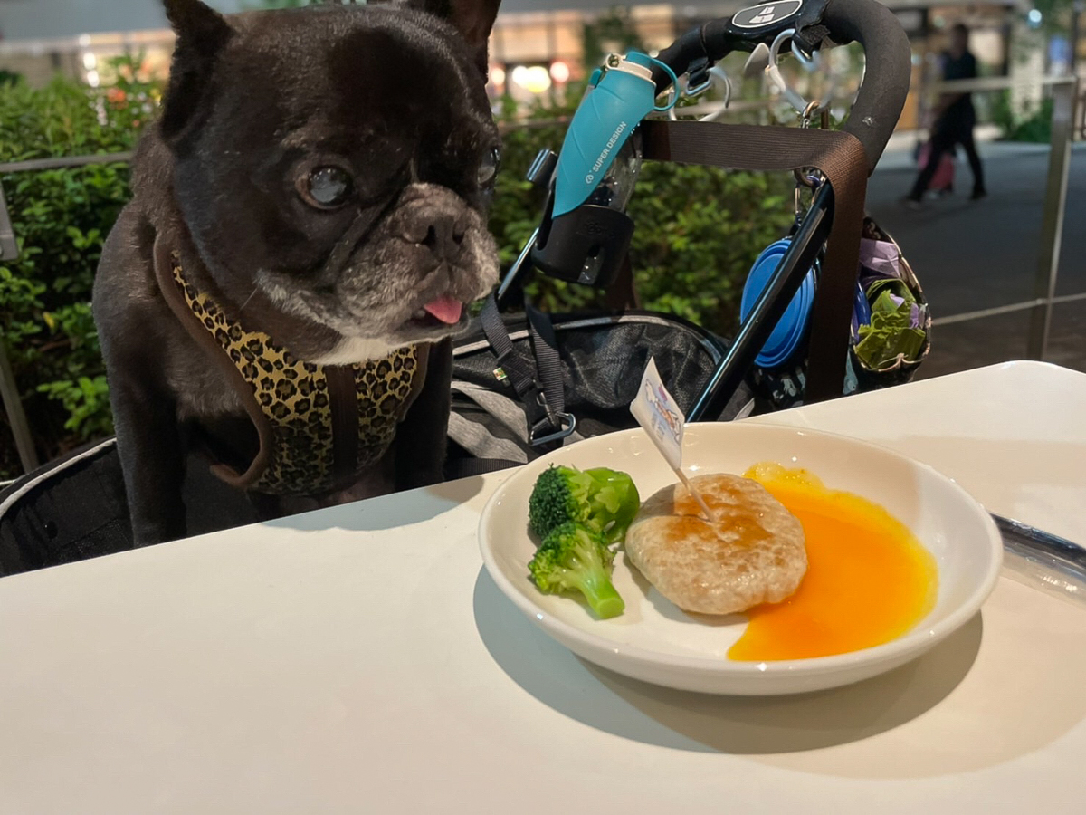 220826_02_hachidogmenu.jpg
