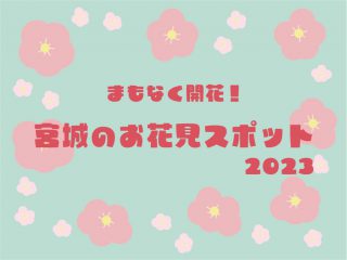 ohanami